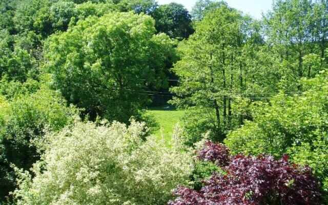 The Forest Country House B&B