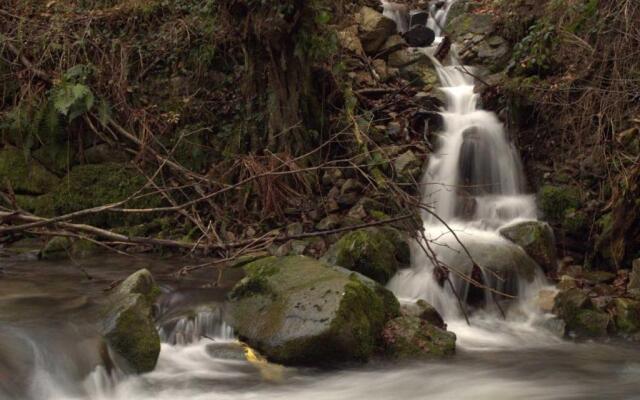 The Little Mountain Cabin