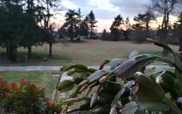 Villa Albrizzi Marini