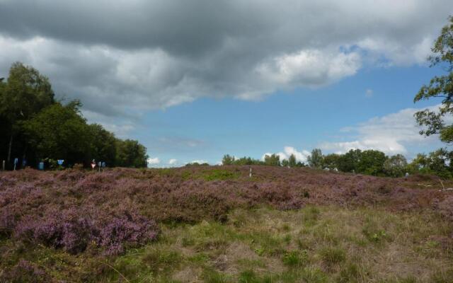 Wapen van Exloo