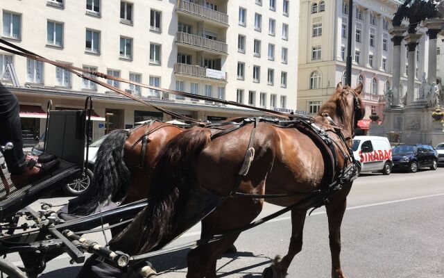 Heart of Vienna Hoher Markt