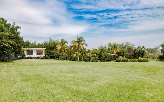 Soul Spring Sanctuary Cuernavaca