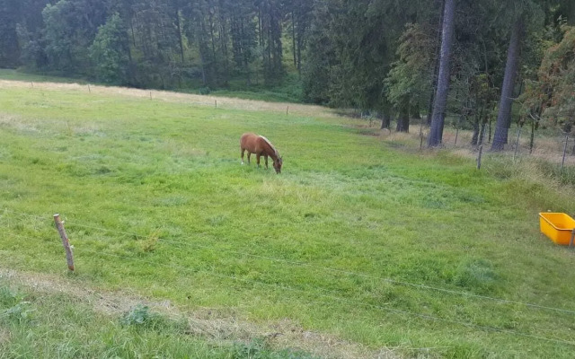 Ferienwohnungen Börnert