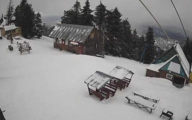 Золота Рибка