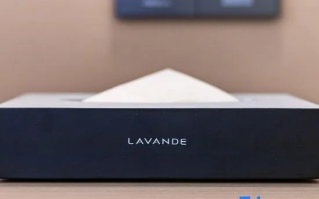 Lavande Hotels Dongguan Changping South Station Baihua Times Square Branch