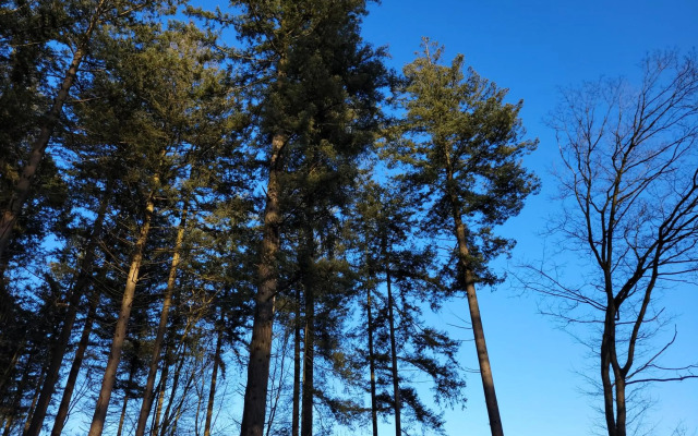 Secret Wellness Oase