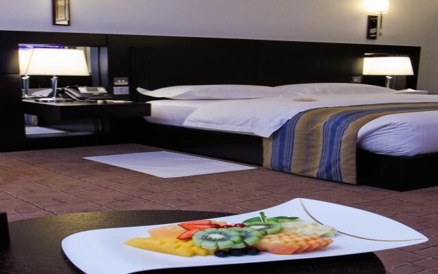 Dubai International Airport Hotel