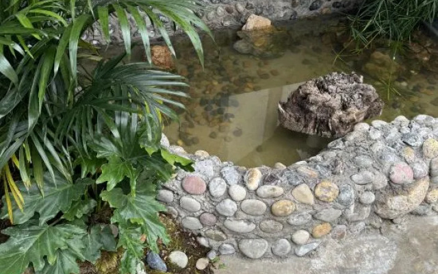 Lijiang Zifayu Designer Boutique Inn