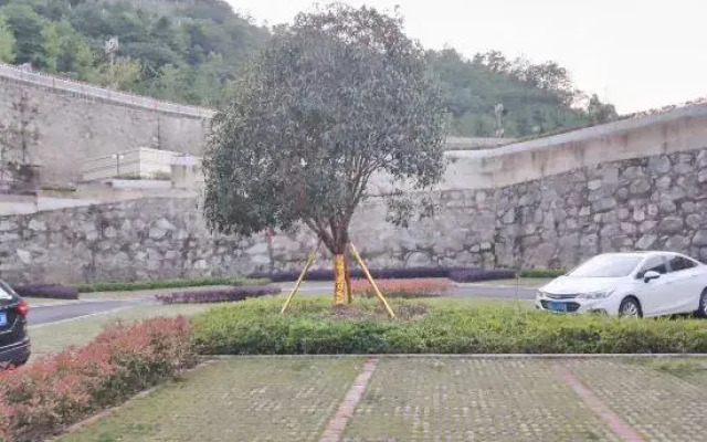 Yuan·Orange Xi Homestay