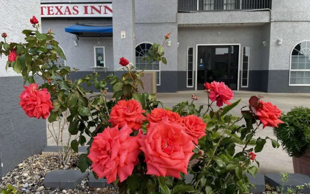 Texas Inn La Feria