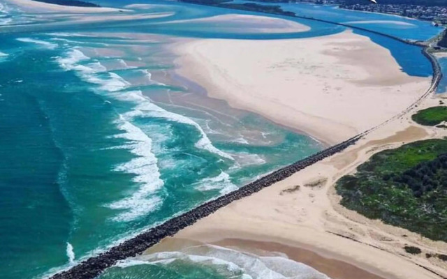 Harrys Haven Harrington