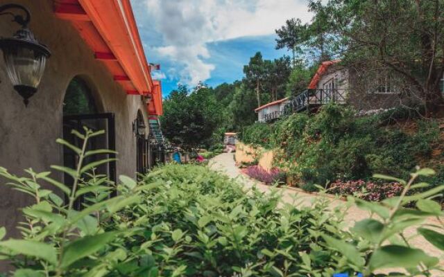 Alpine Lodge and Cafe