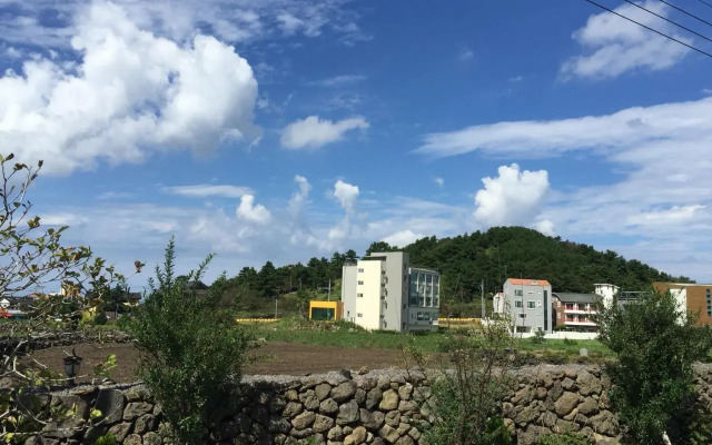 Oh Happy Day Jeju