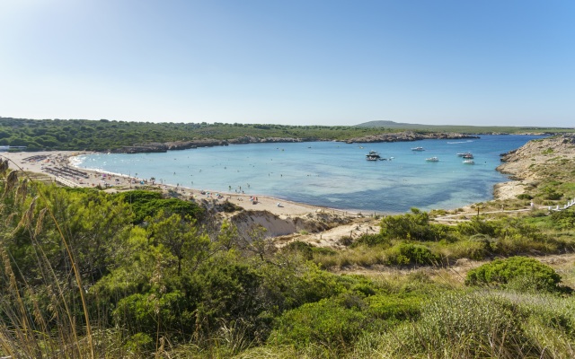 Apartamentos Posidonia