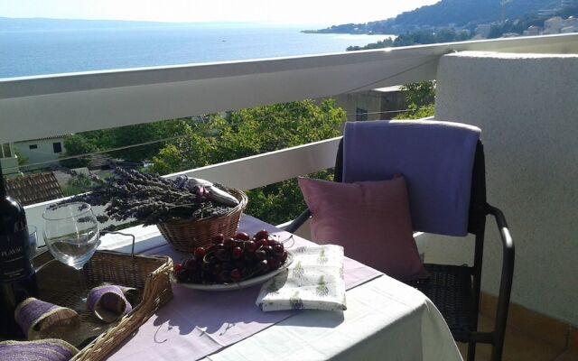 Boro - sea View - SA3