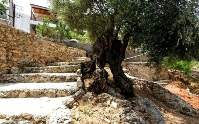 Aoria Traditional House With Stuning Mountain View