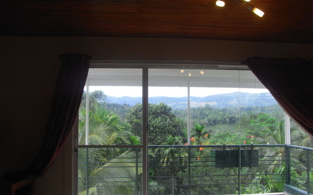 Rainforest Lodge