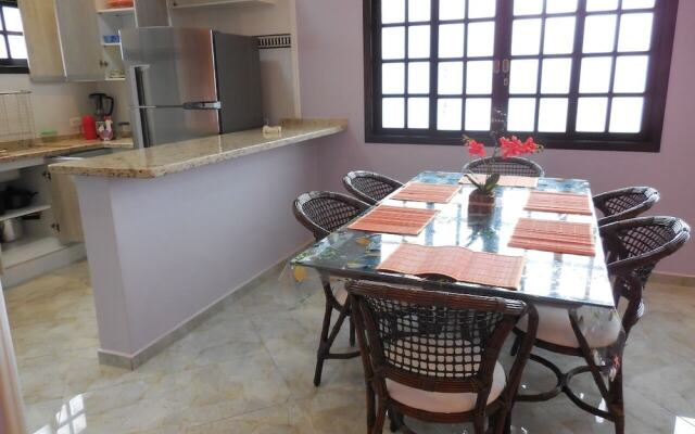 Theorynomadrooms Al Brasil Caragua