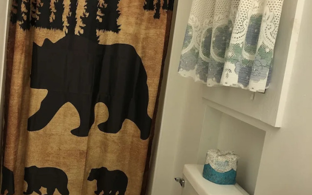 Lake George Bears Den