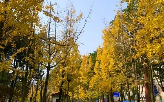 "Ya'an Jinyue · Manman Yucheng Private Enjoy Hotel (Ya'an Railway Station People's Hospital Branch – Outside – Ya'an