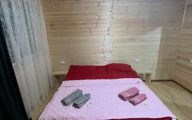 guest house caucasioni