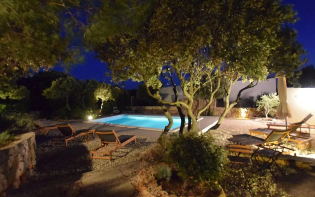 Not Detached Home With Swimming Pool for use