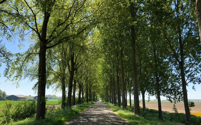 B&B Zeeuwse Lala