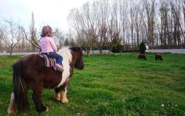 Casa rural El Manantial