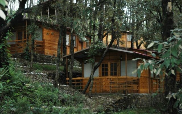 Aamod Resort - Shoghi