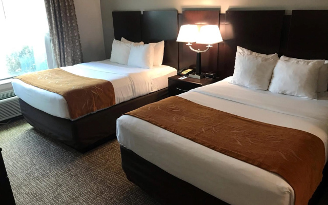 Comfort Suites Bay City East