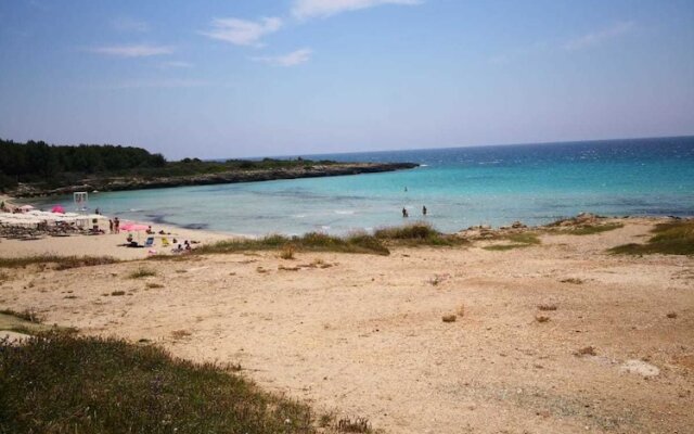 Onde e Gabbiani