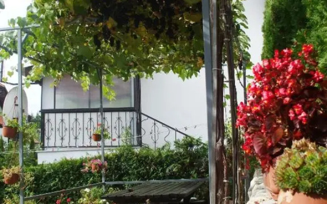 Villa Bozovic