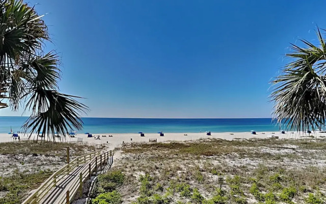 Shipwatch Surf & Yacht #301d