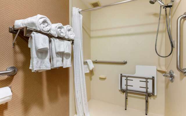 Comfort Inn Chattanooga Downtown Southside