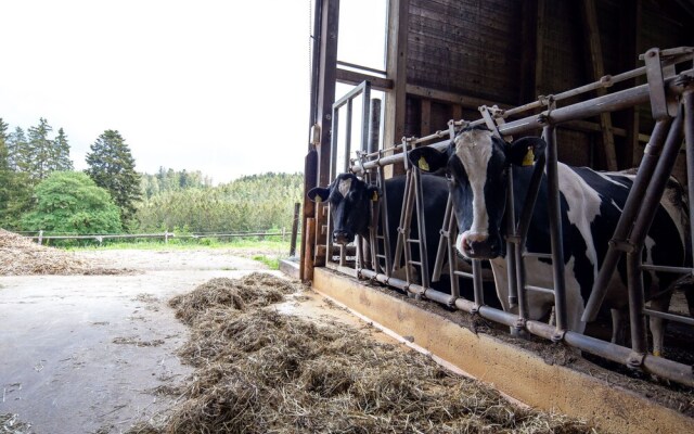 Stunning Apartment in Hornberg-reichenbach With Balcony