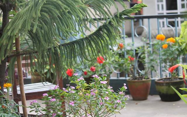 Mount Annapurna Guest House