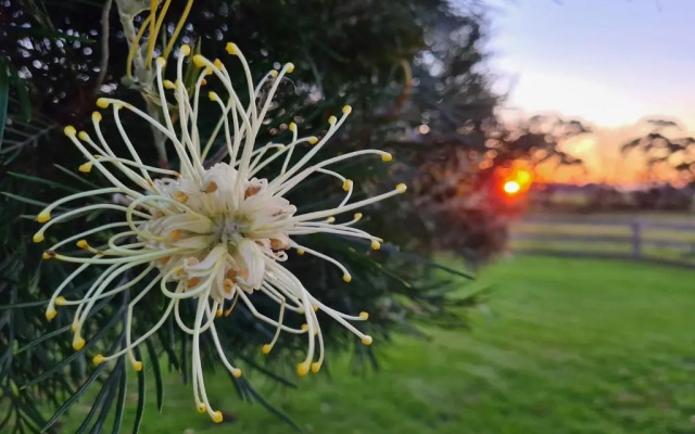 Redgate Forest Retreat