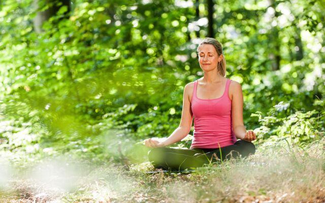 Hotel Birke, Ringhotel Kiel