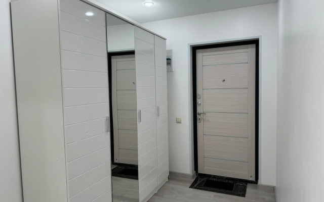 Апартаменты на улице Полковника Фесюна 17