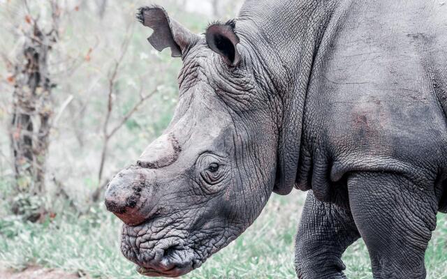 MILIMA Big 5 Safari Lodge