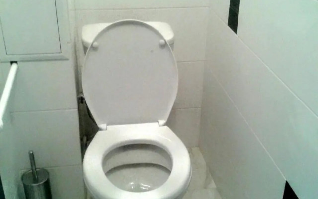 Apartments Shuvar,Chervona Kalina