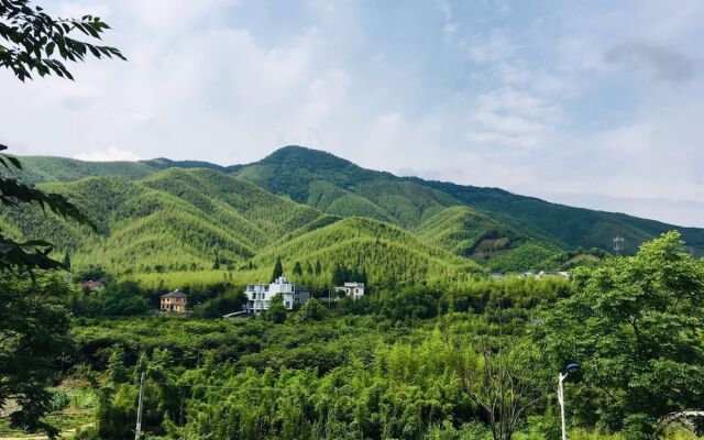 Moganshan Wild House