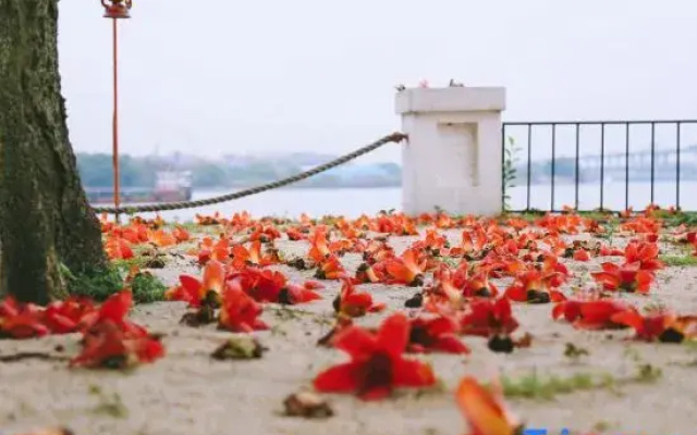 JOYARD Guangzhou - Riverside Shipyard Heritage Hotel