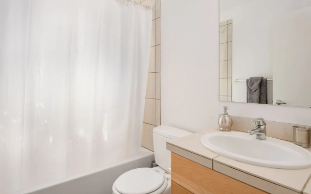 Seattle Vacation Home: The Olympics