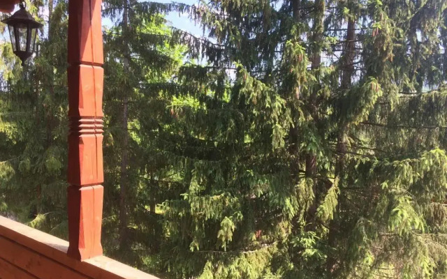 Villa PidStromom