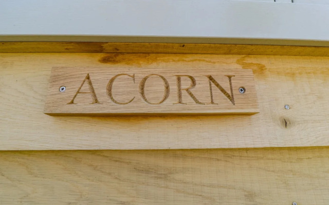 Acorn