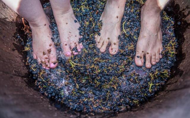 Excelsior Manor Guesthouse