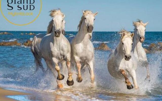 Apartment Le Lagon Bleu 1