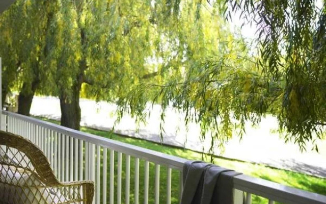 Estrella del Bajo Carrión