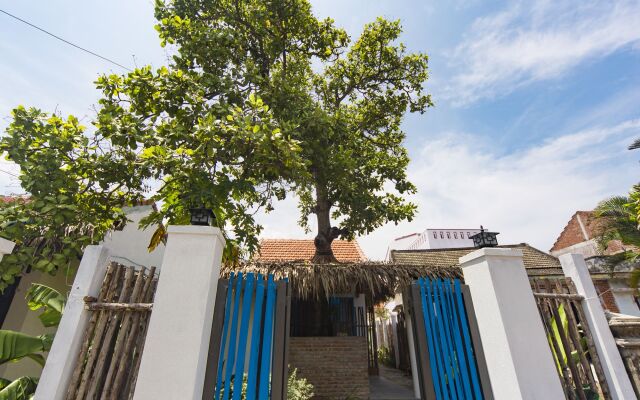 Cashew Tree Bungalow